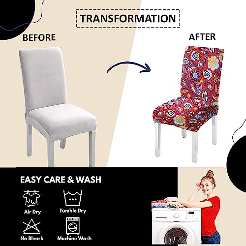 Lazi | Transition your chair cover on livebetterindia