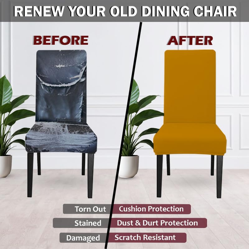 HOTKEI Polyester Blend Mustard Stretchable Dining Seat Cover Protector for Dining