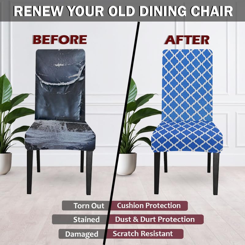 LAZI | Hide cushion stains of dining chair | livebetterindia.com