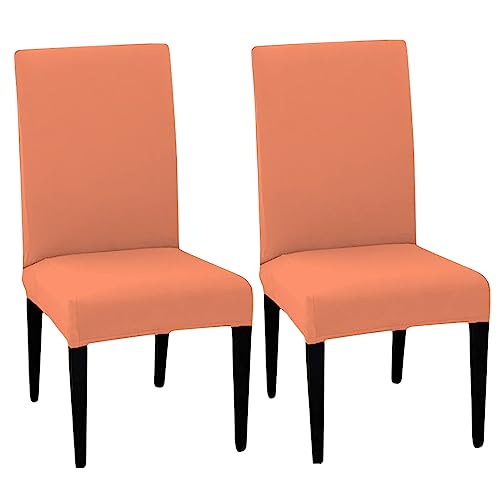 LAZI | Pack of 2 chair cushion protectors on livebetterindia.com