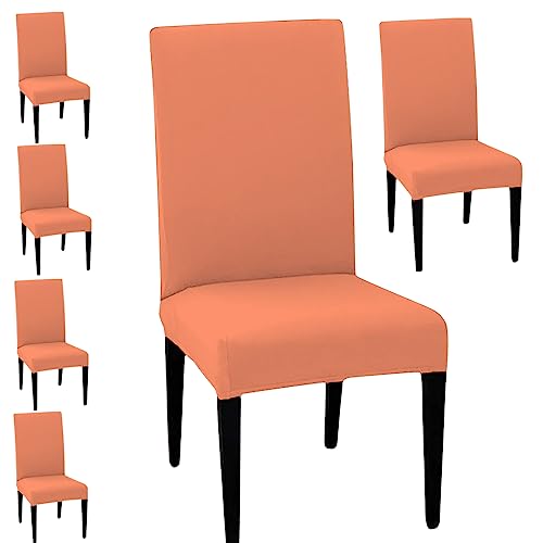 LAZI | dining table chair covers online india on livebetterindia.com