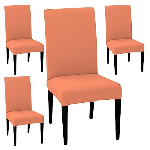 LAZI | 4 chair dining table cover on livebetterindia.com