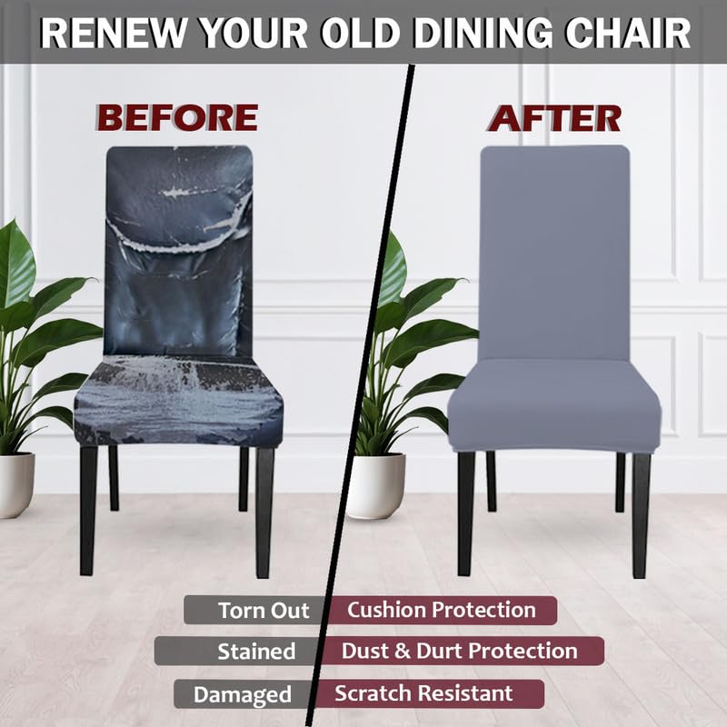 LAZI | Before and after of dining chair on livebetterindia.com