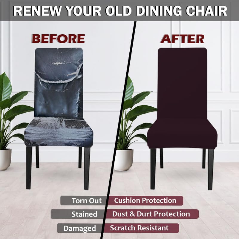 LAZI | Chair cover for old torn dining chair on livebetterindia.com