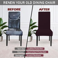 LAZI | Chair cover for old torn dining chair on livebetterindia.com
