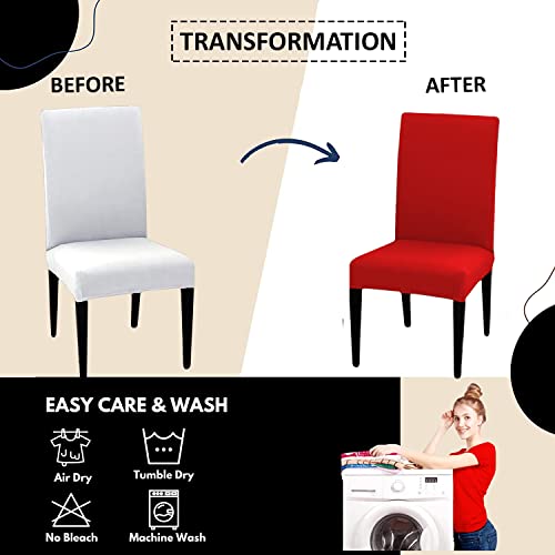 HOTKEI (Pack of 1 Red Color Elastic Stretchable Dining Table Chair Seat Cover Protector Slipcover for Dining Table Chair Covers Stretchable 1 Piece Pack of 1 Seater, Polyester Blend