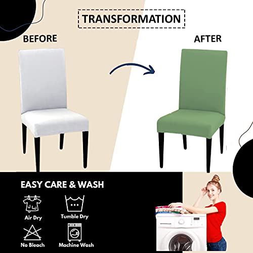 HOTKEI Pack of 4 Pista Elastic Stretchable Dining Table Chair Seat Cover Protector Slipcover for Dining Table Chair Covers Stretchable 1 Piece Set of 4 Seater, Polyester Blend