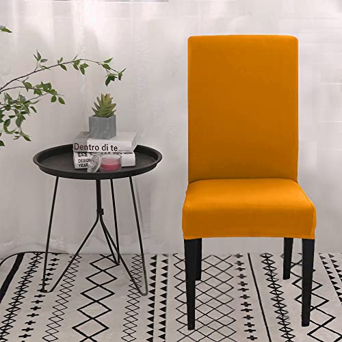 HOTKEI Pack of 6 Mustard Elastic Stretchable Dining Table Chair Seat Cover Protector Slipcover for Dining Table Chair Covers Stretchable 1 Piece Pack of 6 Seater, Polyester Blend