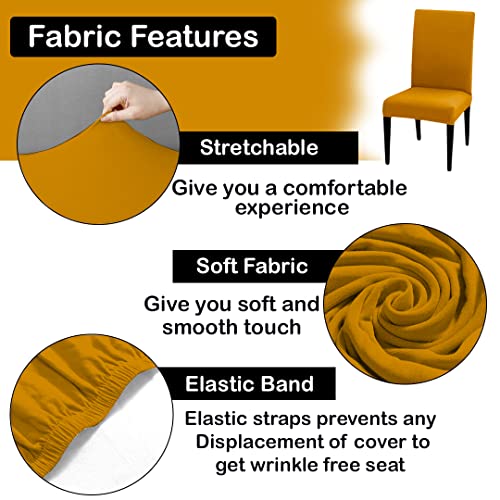 HOTKEI Pack of 4 Mustard Elastic Stretchable Dining Table Chair Seat Cover Protector Slipcover for Dining Table Chair Covers Stretchable 1 Piece Pack of 4 Seater, Polyester Blend