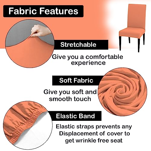 HOTKEI Pack of 4 Peach Color Dining Table Chair Cover Stretchable Slipcover Seat Protector Removable 1pc Polycotton Dining Chairs Covers for Home Hotel Dining Table Chairs